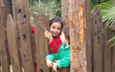 Our new enchanted jungle walk