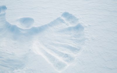 School CLOSED on Friday 2nd March