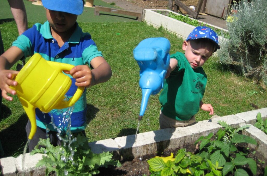 Fir Class Explores Nature Through Gardening and Mini Beast Investigations