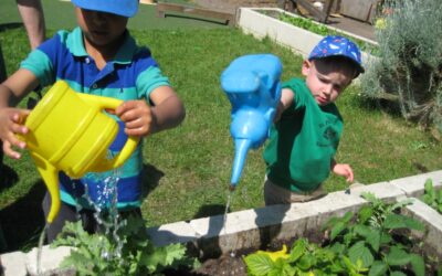Fir Class Explores Nature Through Gardening and Mini Beast Investigations