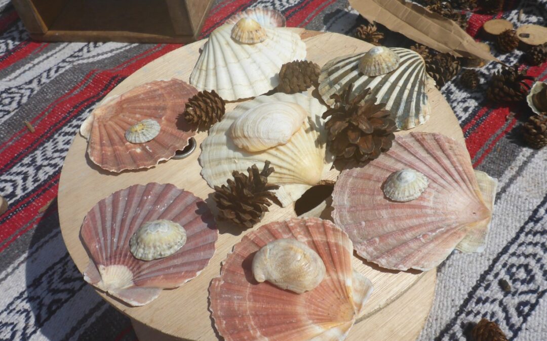 Oak Room Explores Nature’s Treasures in Sunny Garden Adventures