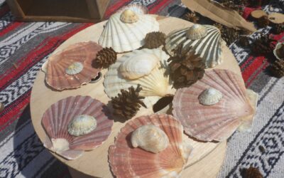 Oak Room Explores Nature’s Treasures in Sunny Garden Adventures