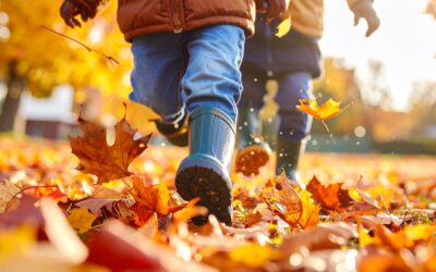 Newsletter – September 2025