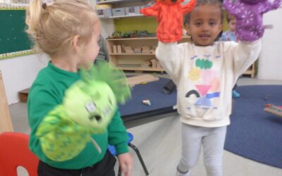 Newsletter – November 2025