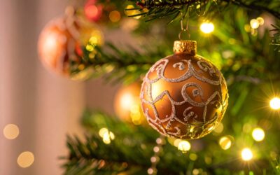 Newsletter – December 2025