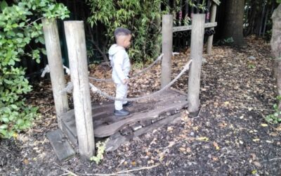 Newsletter – January 2026