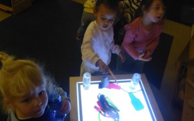 Colour, Light and Fireworks in Fir Class
